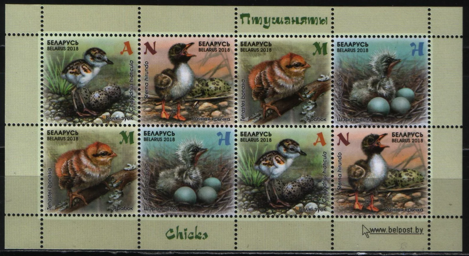 Беларусь - Птенцы. Блок(2018).
