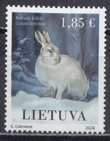 Литва - Заяц(2024).