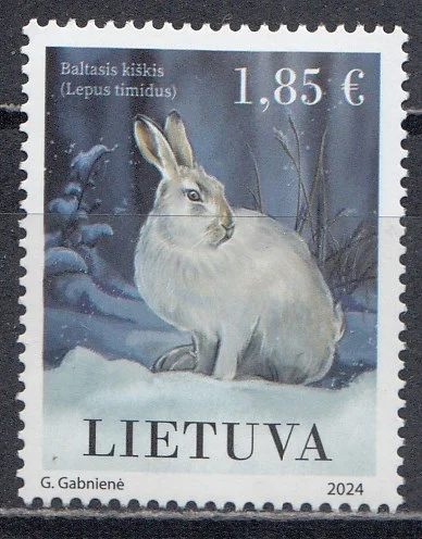 Литва - Заяц(2024).