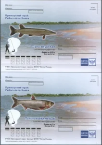 Россия - Рыбы озера Ханка. Приморский край. 4 ПК. 2018(4).
