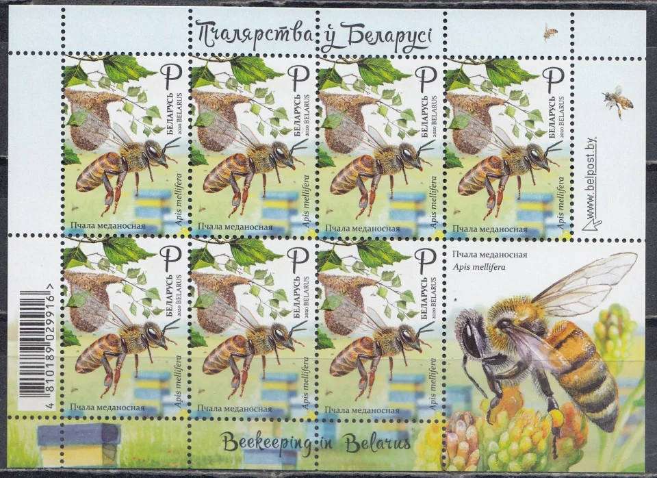 Беларусь - Пчеловодство в Беларуси. Пчела медоносная. Малый лист(2020).