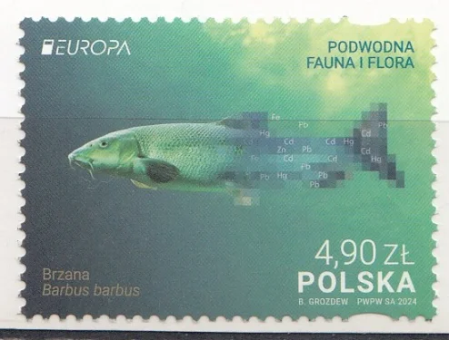 Польша - Европа 2024.