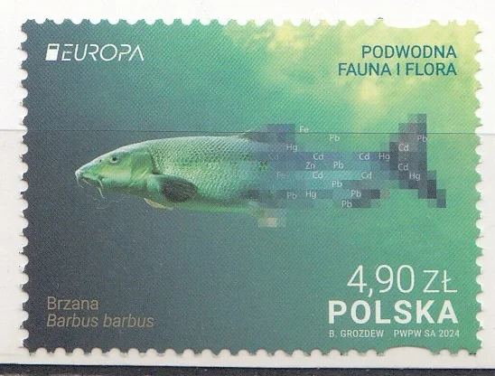 Польша - Европа 2024.