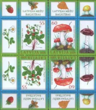 Латвия - Земляника и гриб(тет-беш, 2009).