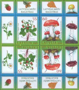 Латвия - Земляника и гриб(тет-беш, 2009).