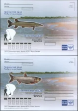 Россия - Рыбы озера Ханка. Приморский край. 4 ПК. 2018(4).