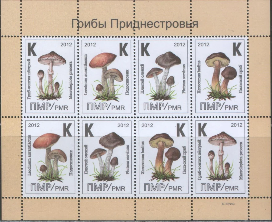 ПМР - Грибы(мл., 2012).