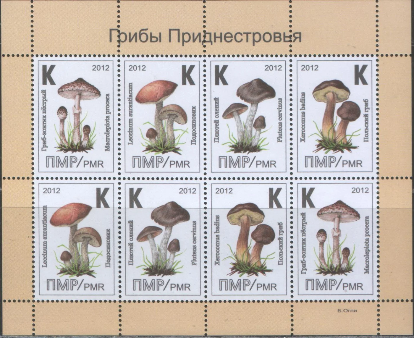 ПМР - Грибы(мл., 2012).
