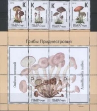 ПМР - Грибы(2012).