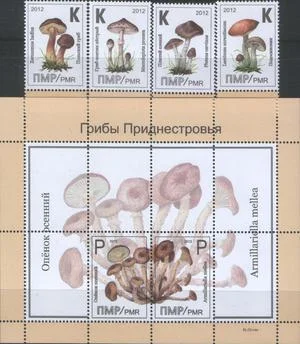 ПМР - Грибы(2012).