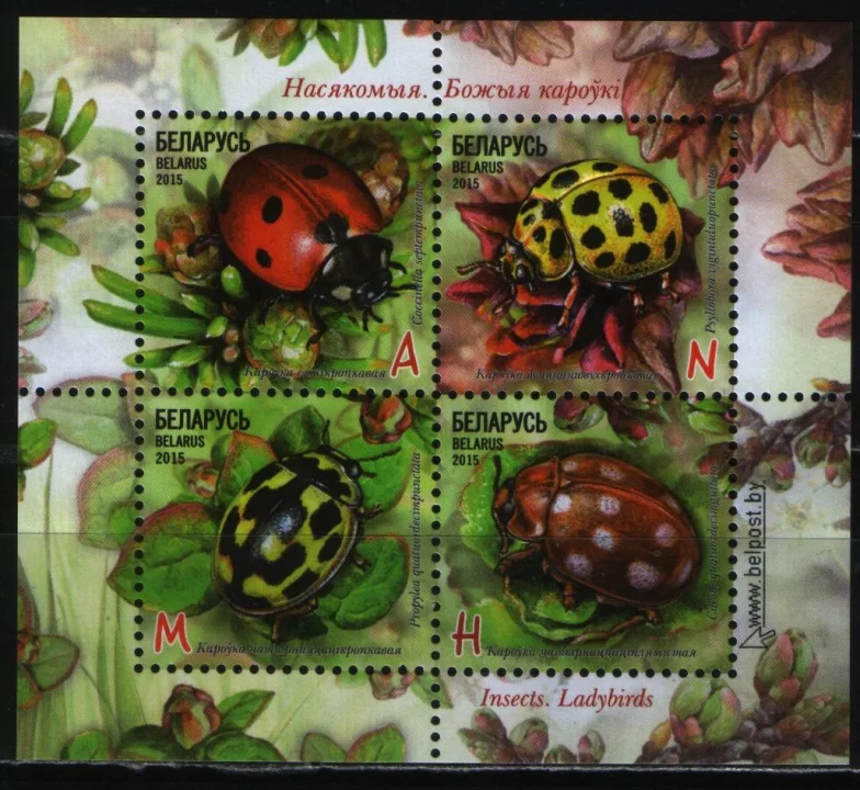 Беларусь - Божьи коровки(2015).