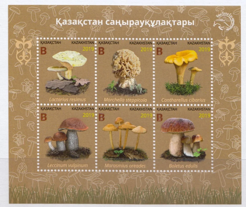 Казахстан - Грибы(2019).