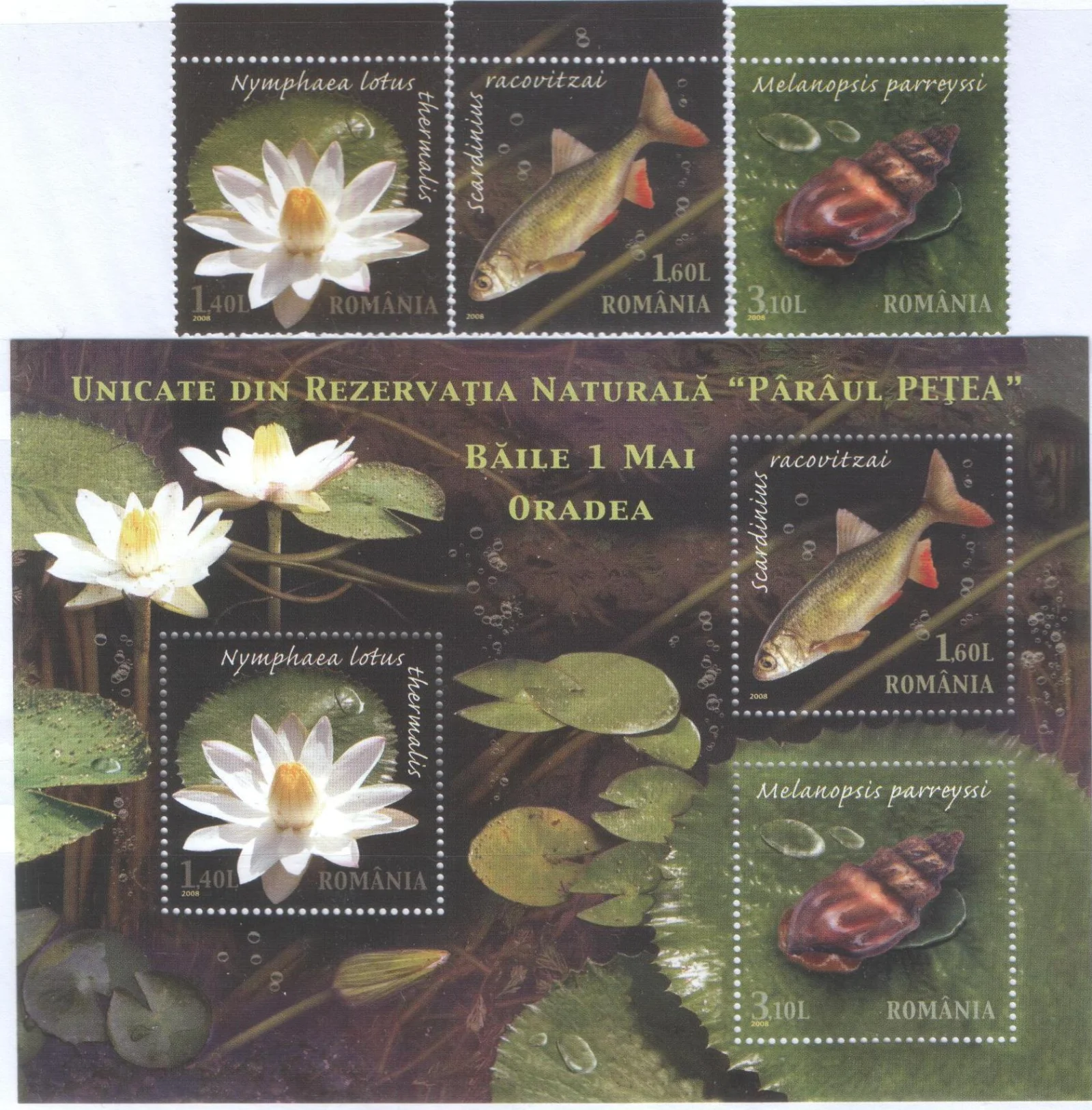 Румыния - Заповедник(2008).