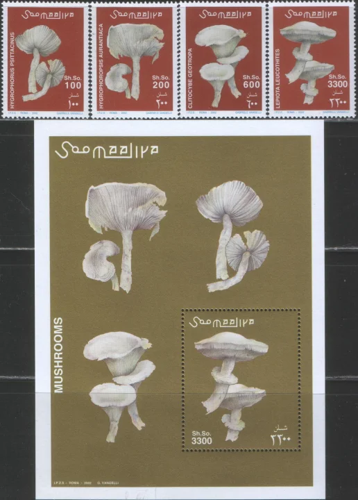 Сомали - Грибы(2002).