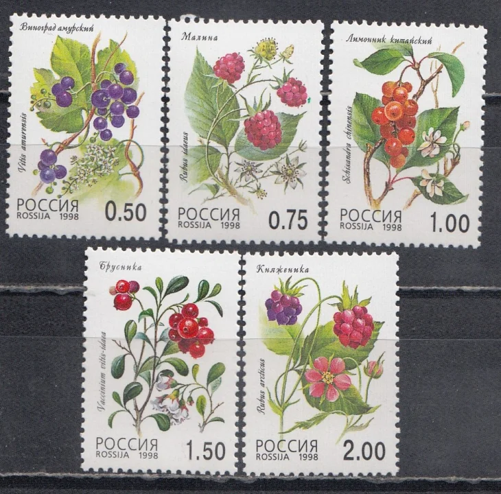 Россия - № 447-451. Флора. Лесные ягоды. 1998 год.
