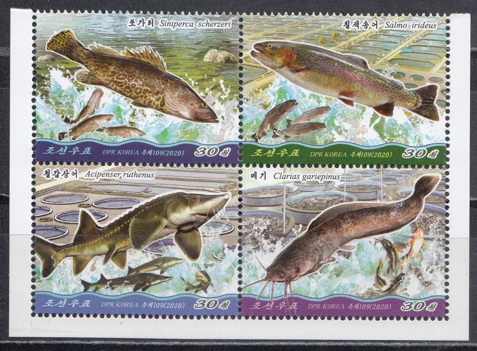КНДР - Рыбоводство(2020).