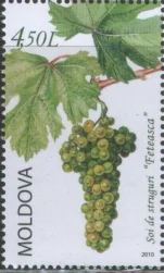 Молдова - Виноград(2010).