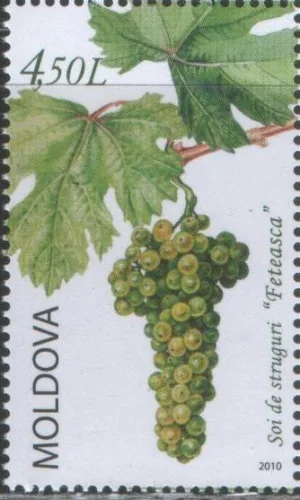 Молдова - Виноград(2010).