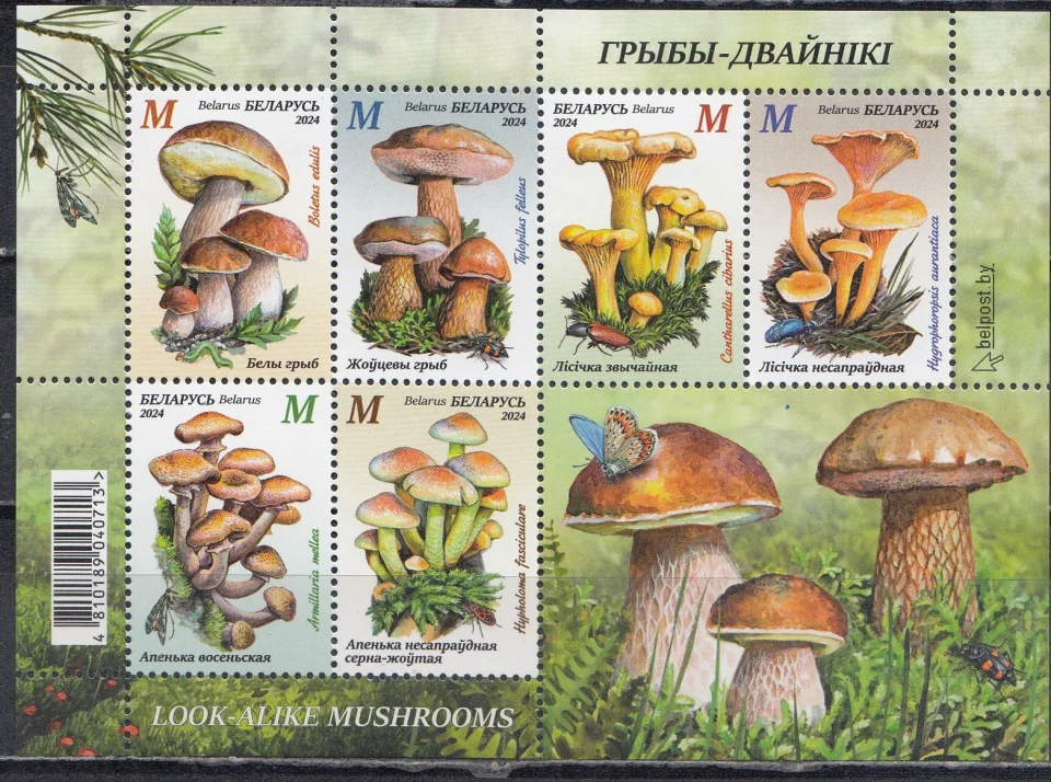 Беларусь - Грибы-двойники. Блок(2024).