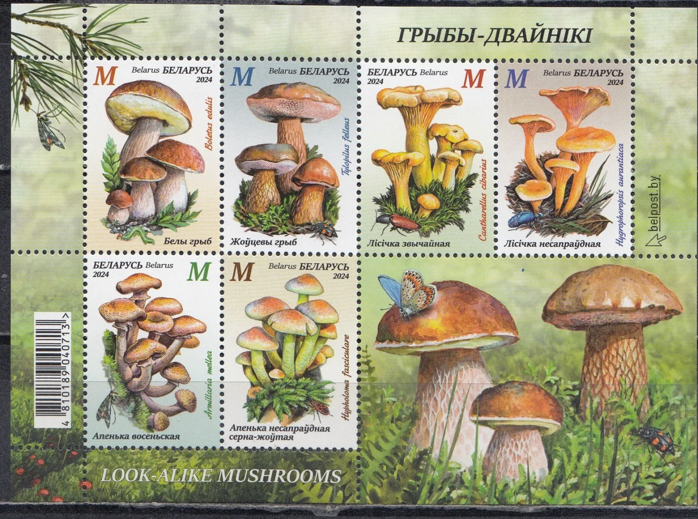 Беларусь - Грибы-двойники. Блок(2024).