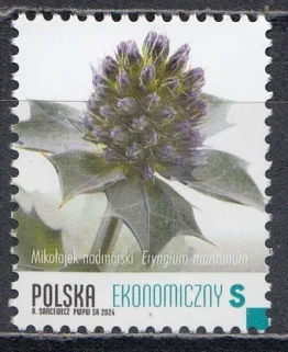 Польша - Приморский синеголовник. Охраняемые растения(2024).