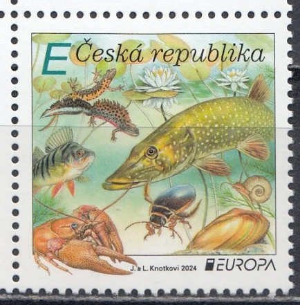Чехия - Европа 2024.