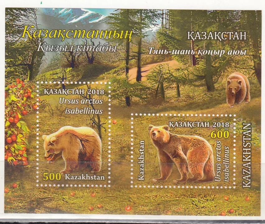 Казахстан - Красная книга Казахстана. Тяньшанские бурые медведи(2018).