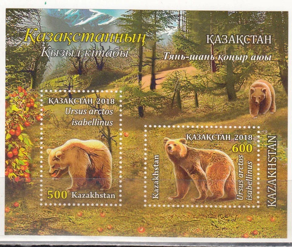 Казахстан - Красная книга Казахстана. Тяньшанские бурые медведи(2018).