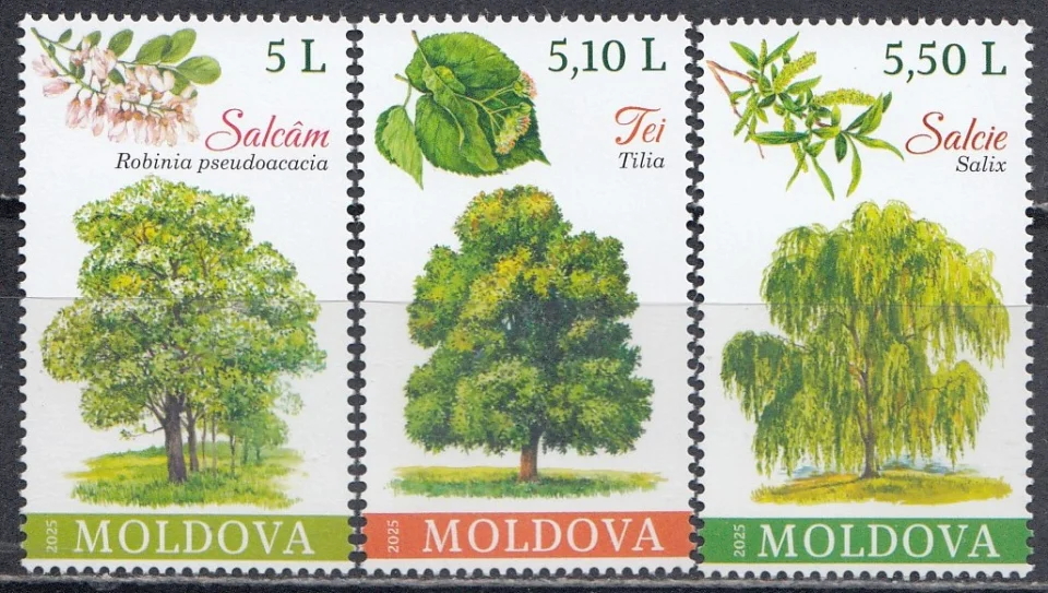 Молдова - Деревья(2025).