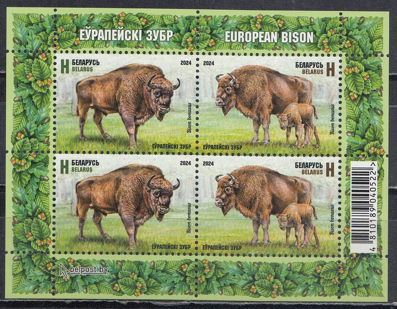 Беларусь - Европейский зубр. Блок(2024).