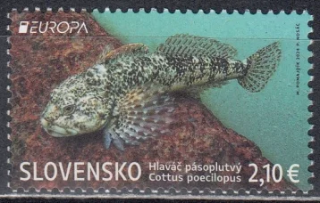Словакия - Европа 2024.