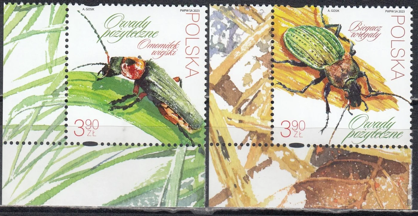 Польша - Жуки(2023).