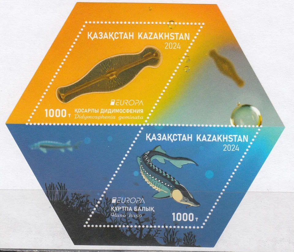 Казахстан - Европа 2024.