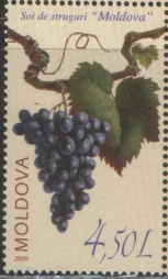 Молдова - Виноград(2009).