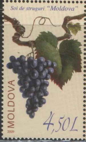 Молдова - Виноград(2009).