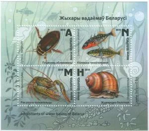 Беларусь - Обитатели водоёмов Беларуси(2019).