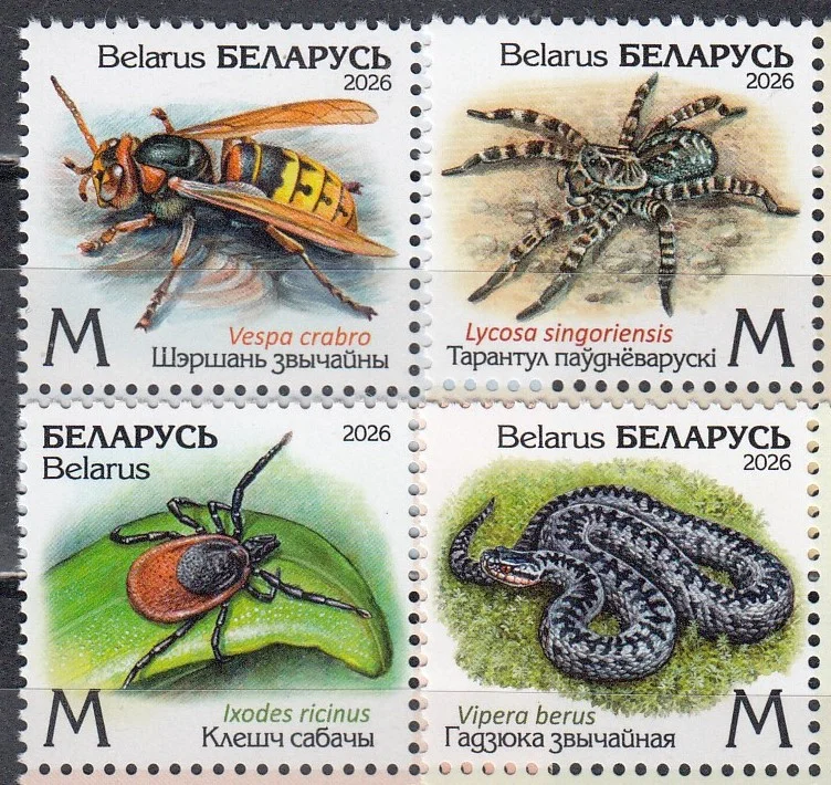 Беларусь - Опасные животные. Насекомые. Шершень. Тарантул. Клещ. Гадюка(2026).