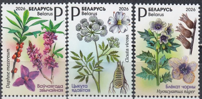 Беларусь - Флора. Ядовитые растения. Белена черная, Вех ядовитый, Волчеягодник(2026).
