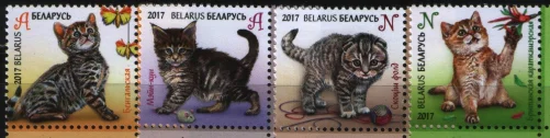 Беларусь - Котята(2017).