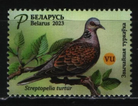Беларусь - Птица года. Горлица(2023).