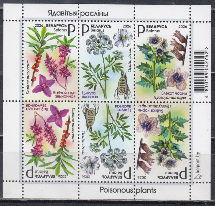 Беларусь - Ядовитые растения. Белена черная, Вех ядовитый, Волчеягодник. Блок(2026).