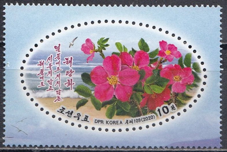 КНДР - Сладкий шиповник(2020).