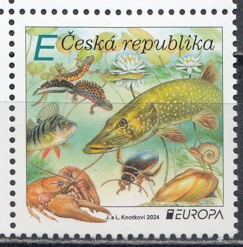Чехия - Европа 2024.