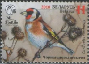 Беларусь - Птица года. Черноголовый щегол(2018).