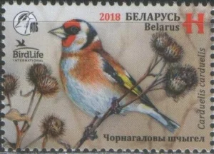 Беларусь - Птица года. Черноголовый щегол(2018).