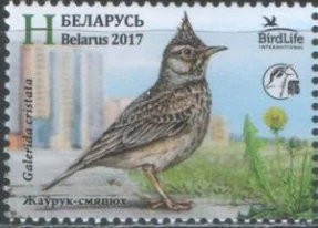 Беларусь - Хохлатый жаворонок(2017).