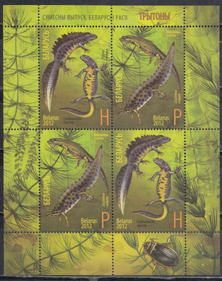 Беларусь - Тритоны. Блок(2012).