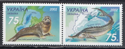 Украина – Белуга Черноморская. Каспийский тюлень. Совместный выпуск с Казахстаном(2002).