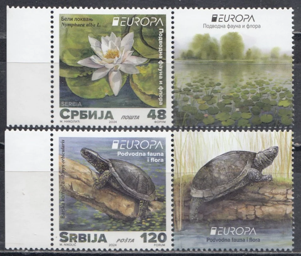 Сербия - Европа 2024. Купоны.