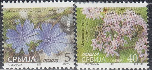 Сербия - Цветы. Стандарт(2025).